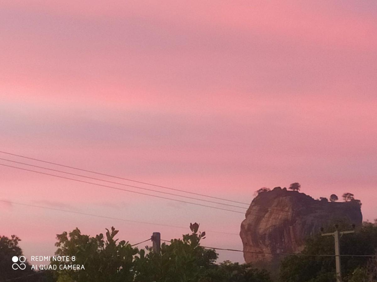 Sigiri Gayani Home Stay Sigiriya Esterno foto
