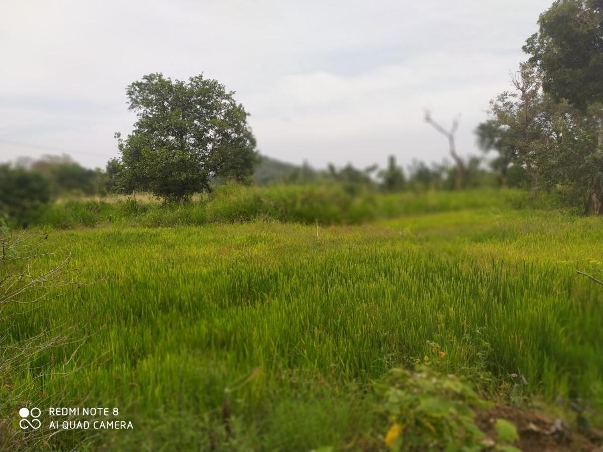 Sigiri Gayani Home Stay Sigiriya Esterno foto