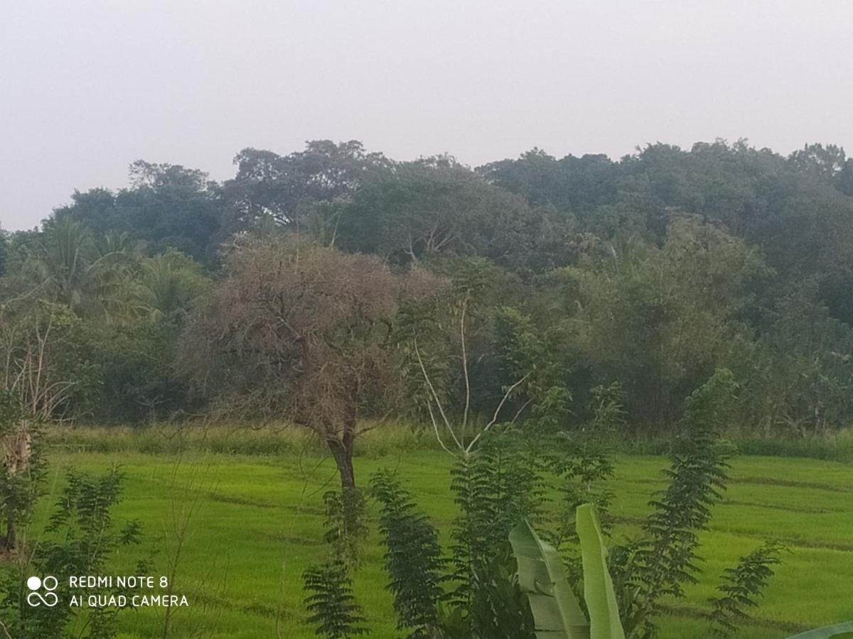 Sigiri Gayani Home Stay Sigiriya Esterno foto