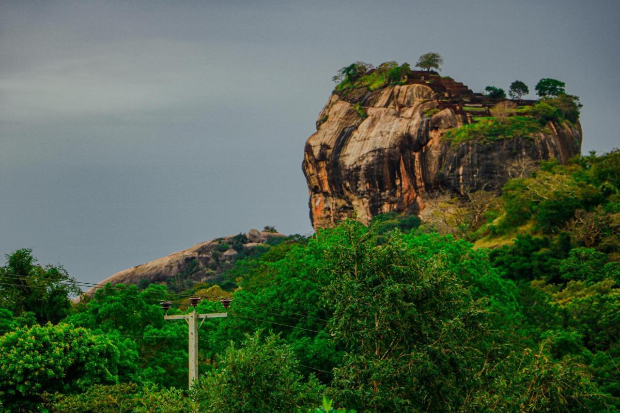 Sigiri Gayani Home Stay Sigiriya Esterno foto
