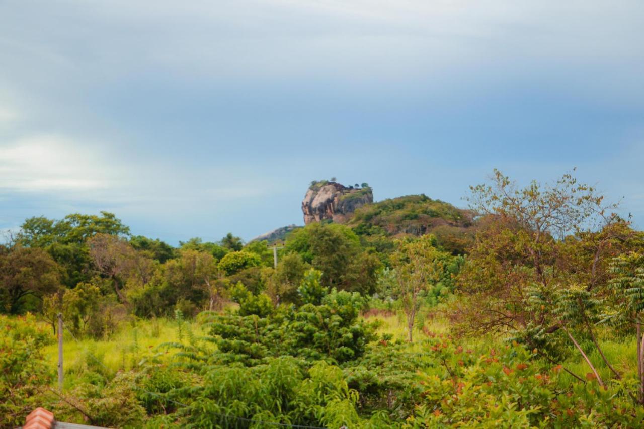 Sigiri Gayani Home Stay Sigiriya Esterno foto