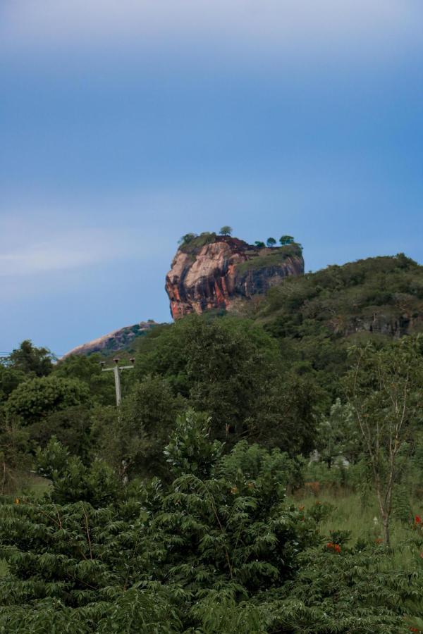Sigiri Gayani Home Stay Sigiriya Esterno foto